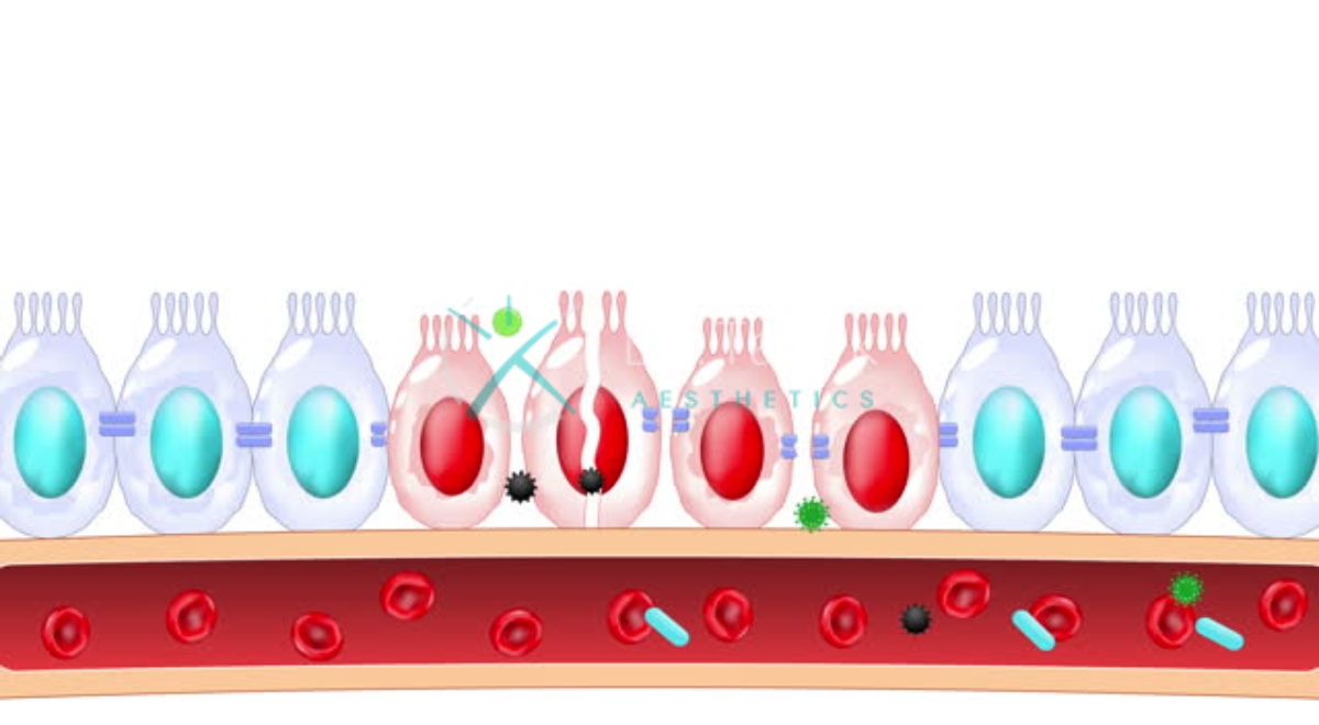 Where Are The Lipopolysaccharides Found